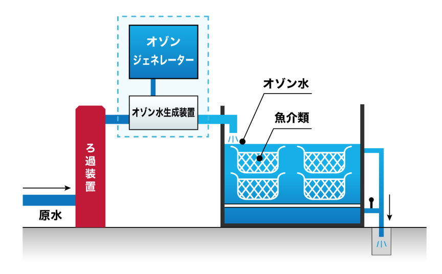 オゾンプール方式画像