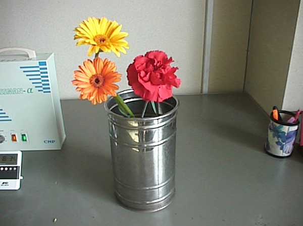オゾン処理なし 5日目画像
